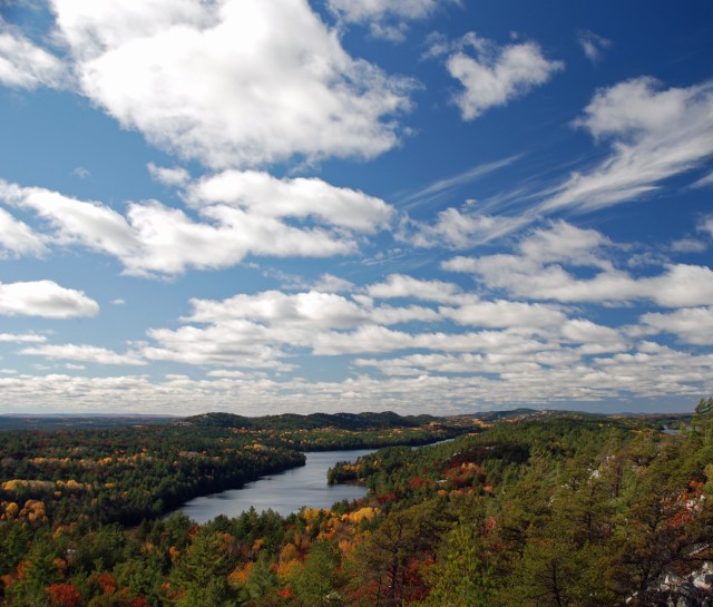 View Towards Willisville Mountain