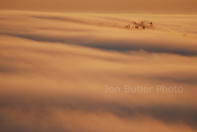 The image is here but I can't point it out