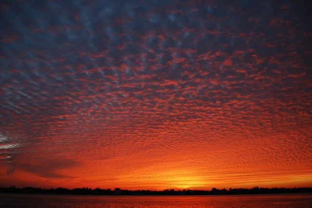 Sunrise Pass-a-Grile Florida on Friday, Dec 12. Natural light, natural colours, natural beauty - naturally!