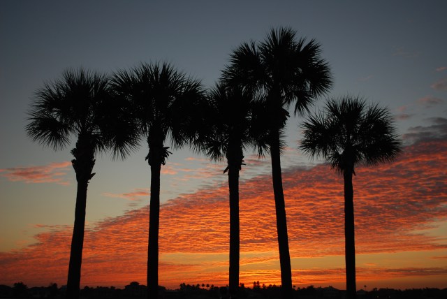 Sunrise Pass-a-Grile Florida on Saturday, Dec 20. Natural light, natural colours, natural beauty – naturally!