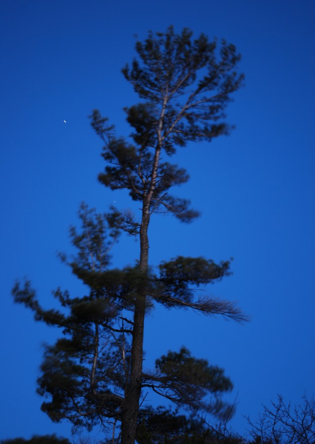 Third Photo - April 19