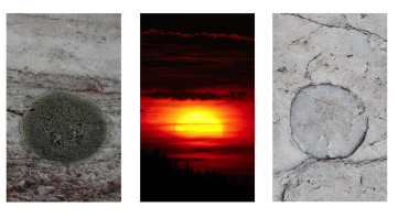 "To engage a sequence we keep in mind the photographs on either side of the one in our eye." - Minor White