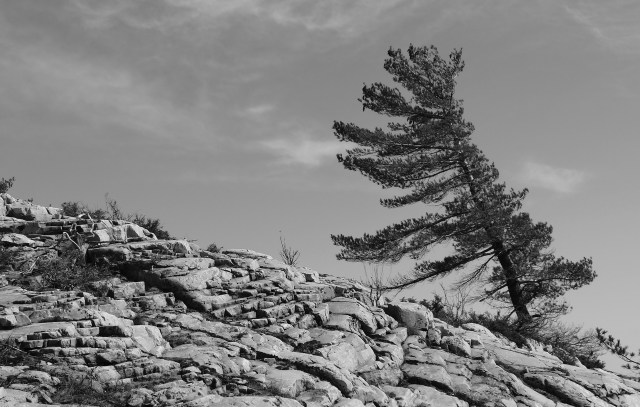 'Where the spirit moves you' 1/10 Framed - 24 X 18 $425