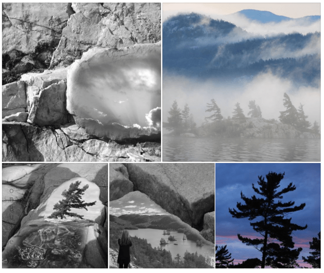 Screen Shot 2017-05-27 at 7.27.20 AM