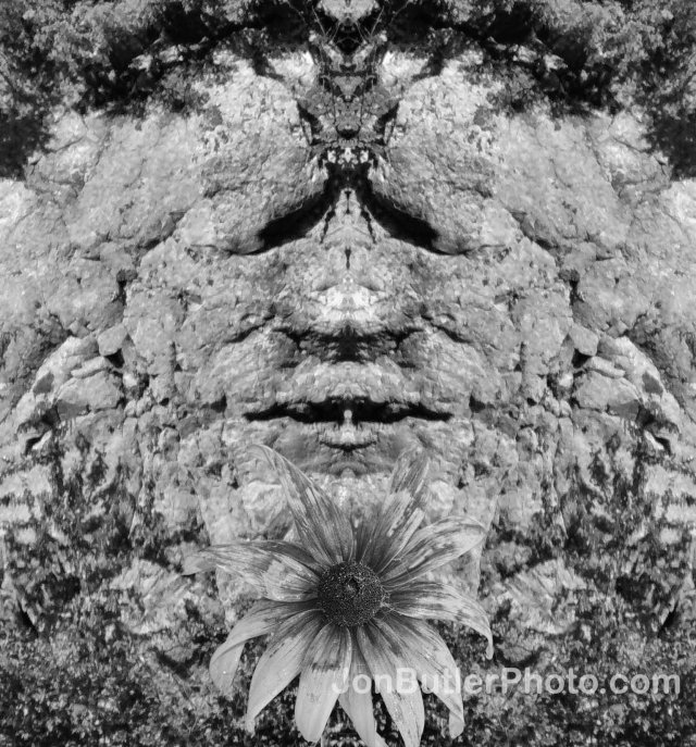 Flower Sermon watermark