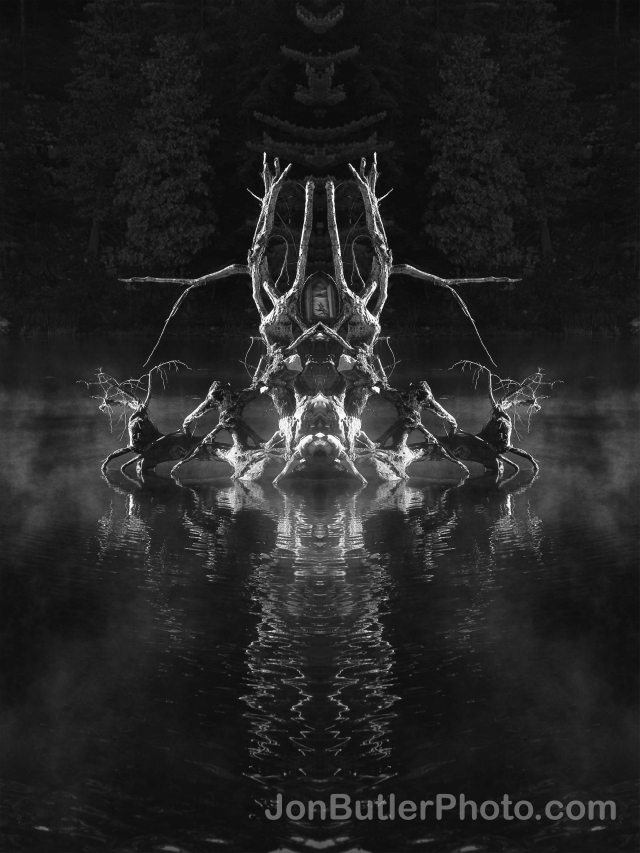 Stump window watermark