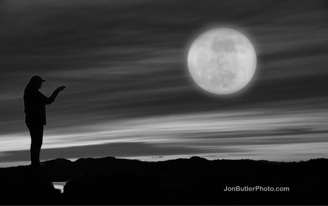 Untitled-5 watermark