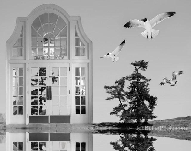 Untitled-8 watermark