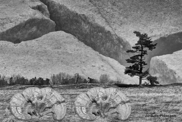 Untitled 13 watermark