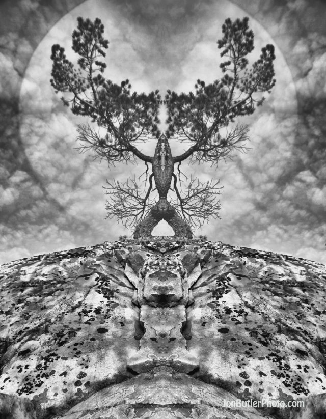 Untitled 14 watermark