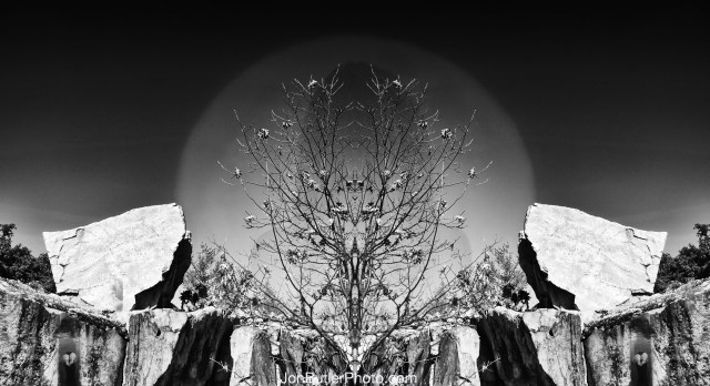 Untitled 16 watermark