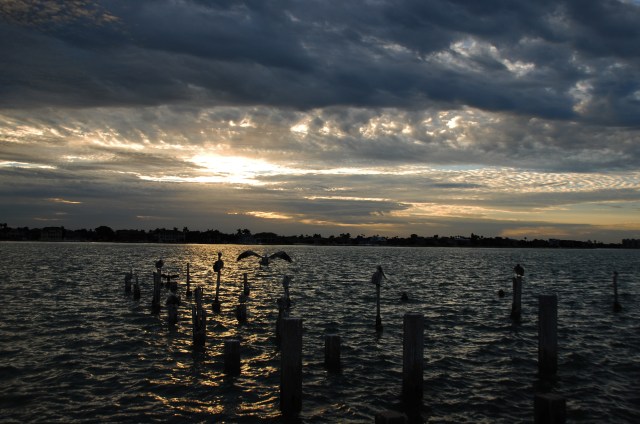 2018 december 1 dawn