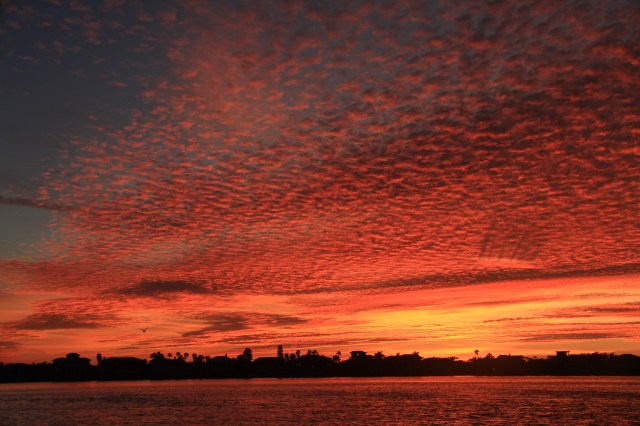 2019 january 19 dawn 4