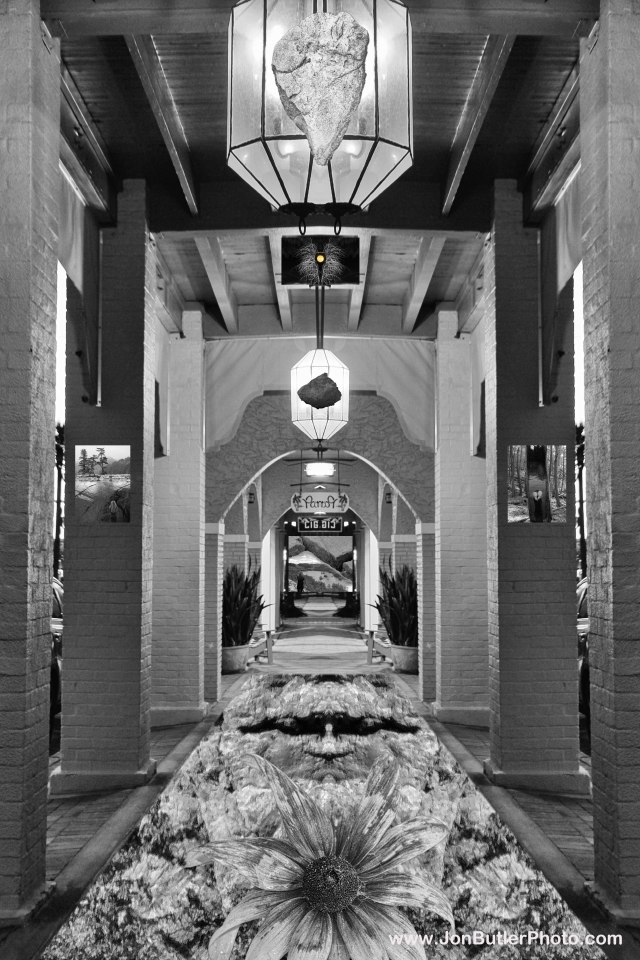 the gallery ii watermark