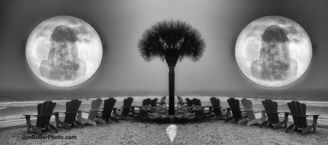 title please ? watermark