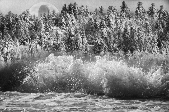 Spring is Coming watermark