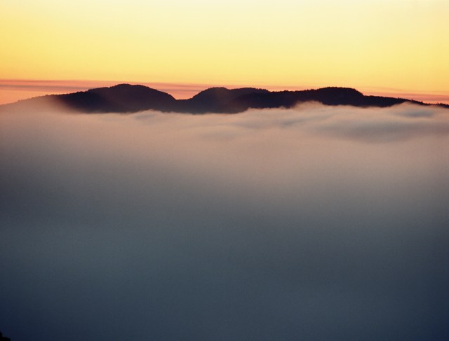 Above the silence of the dawn 699