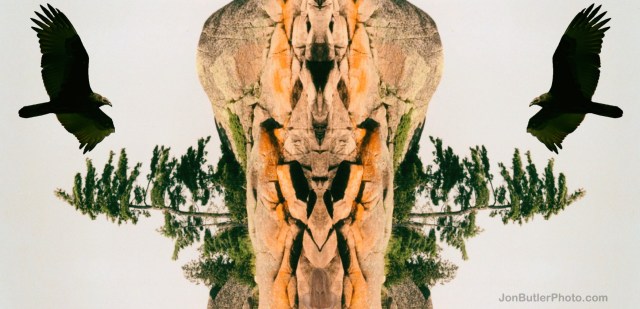 The Vultures' Rabbit watermark