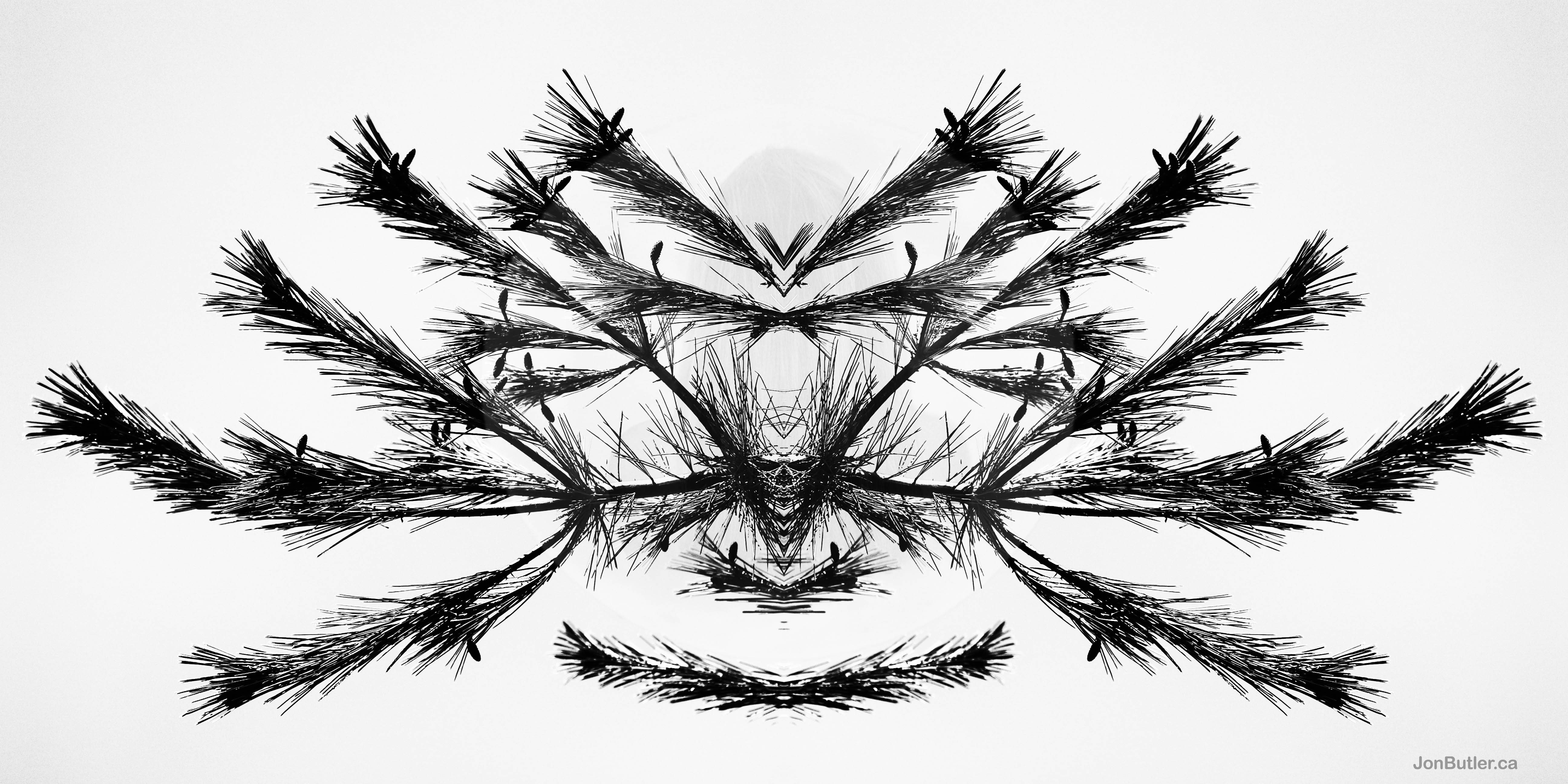 Untitled 30 watermark