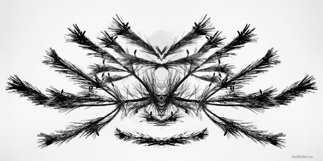 Untitled 30 watermark